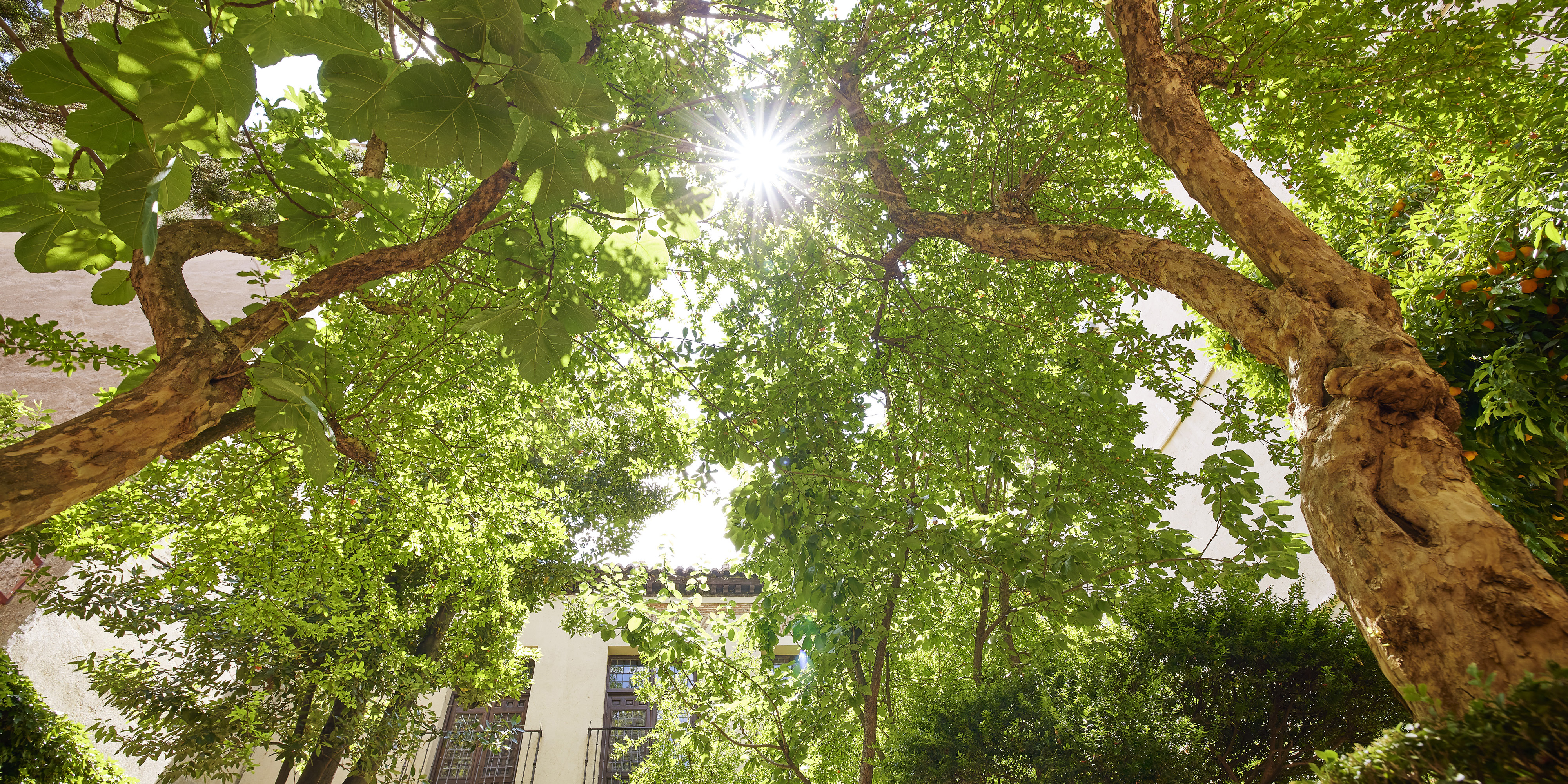 Jardín de la Casa Museo. Fotografía: Pedro López